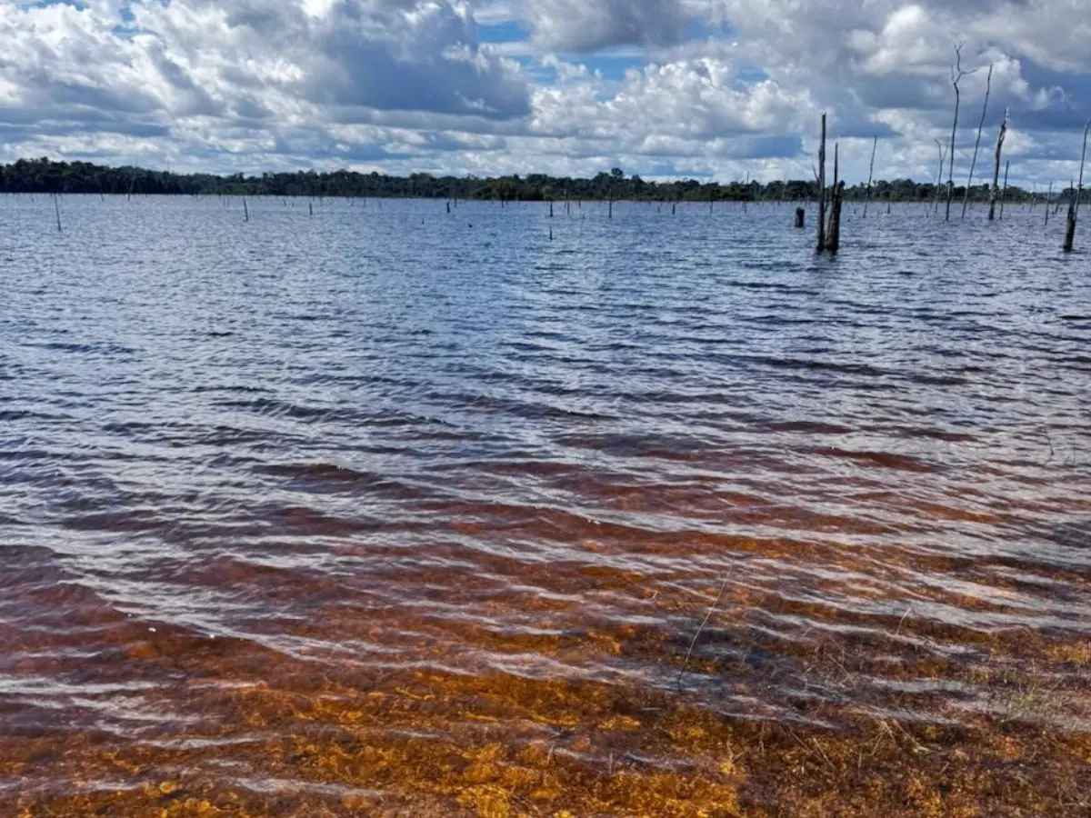 Sport fishing at Balbina Reservoir, Amazonas, photo 9