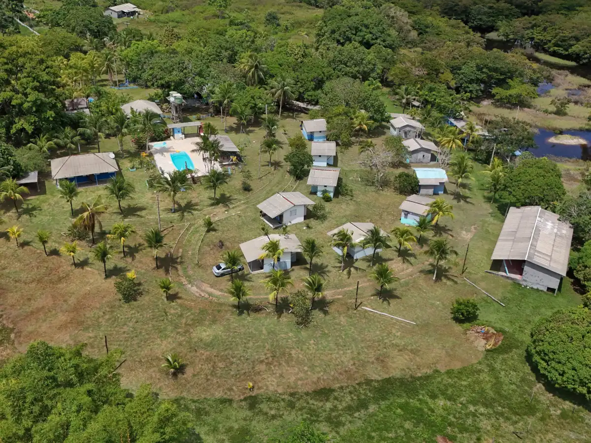 Aerial view of the chalets, pool and palm trees at Pousada Paraíso da Pesca Esportiva