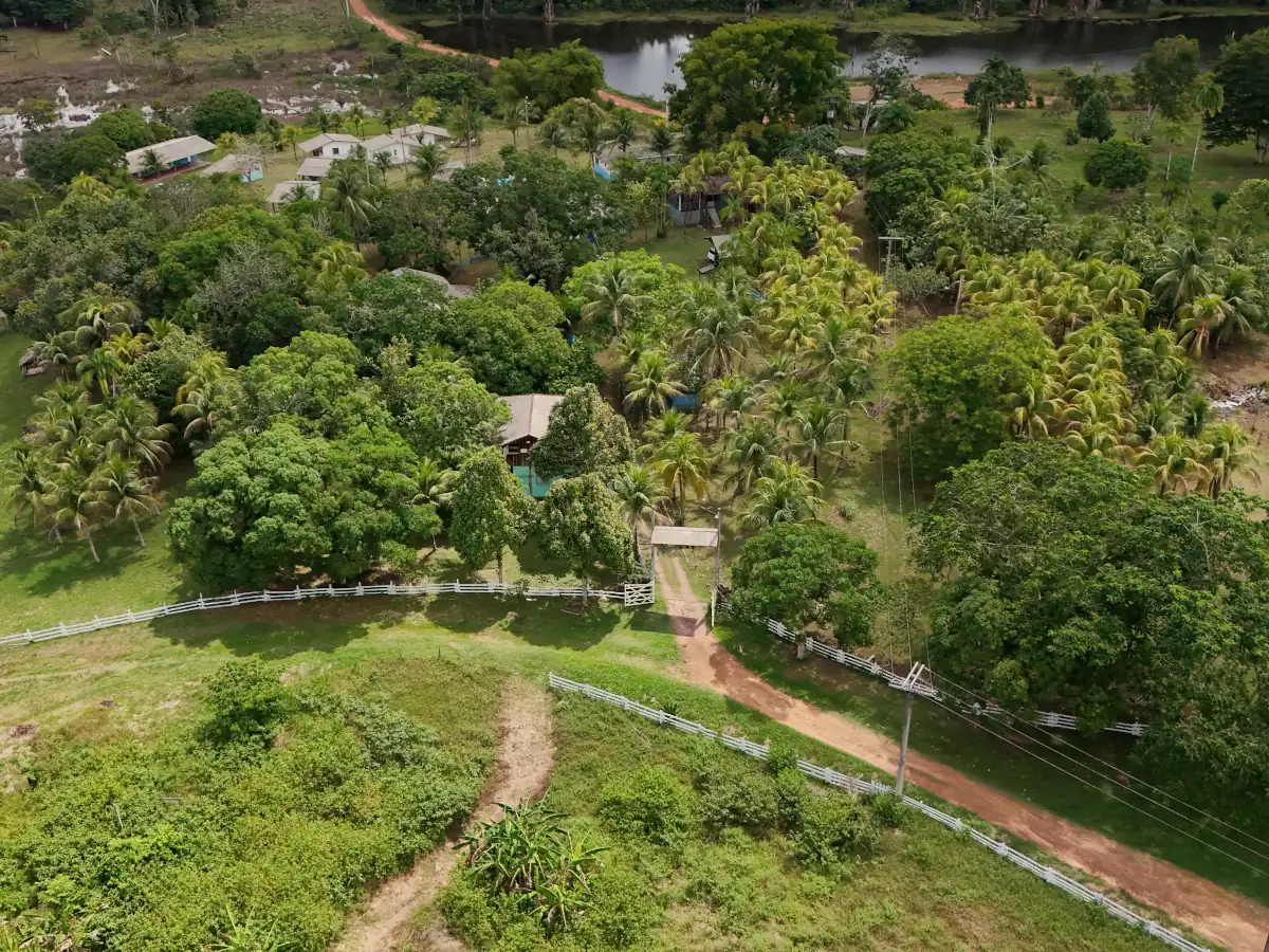Aerial view of the lodge entrance, surrounded by forest and palm trees, at Balbina Reservoir