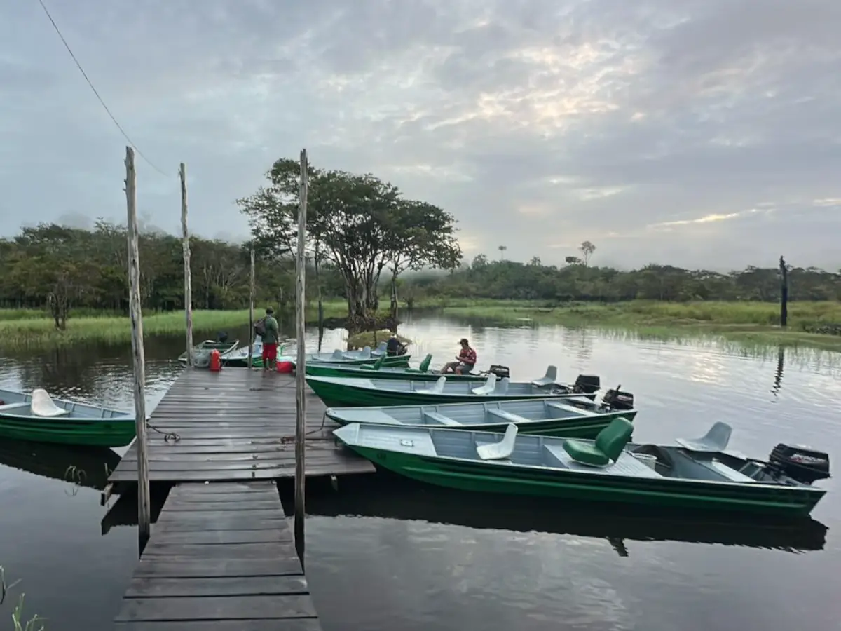 Green fishing boats moored at the wooden dock of Balbina Reservoir at sunrise
