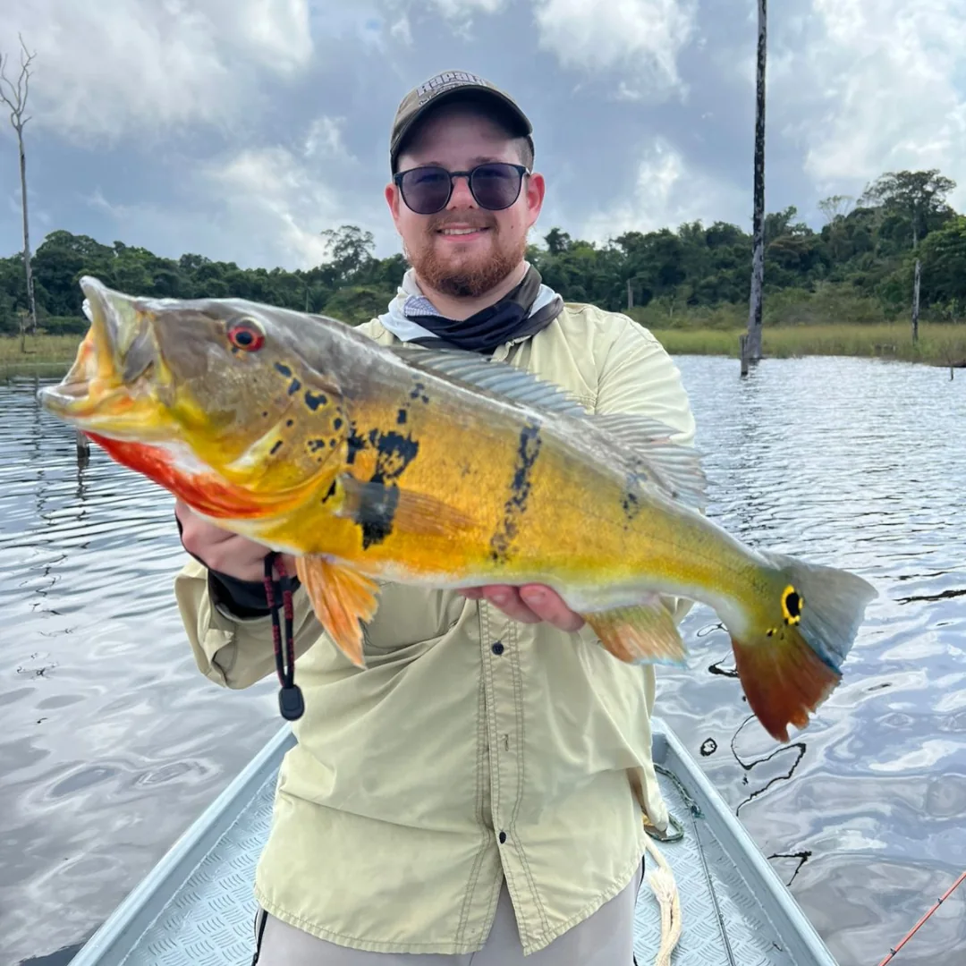 Pescador esportivo segurando um grande Tucunaré capturado na Represa de Balbina, Amazonas