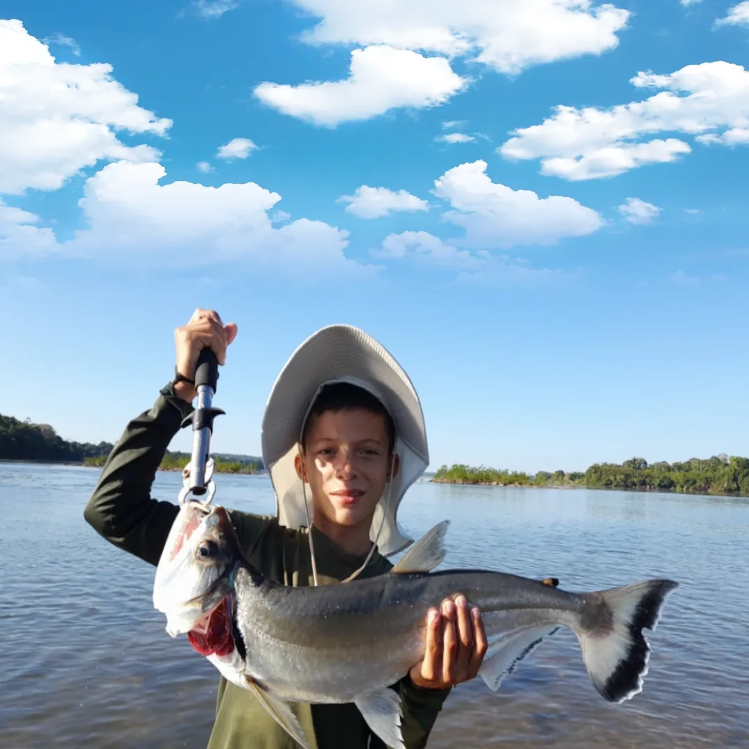 pesca do tucunaré no rio juruena amazonas, pesca esportiva na amazônia, pacote de pescaria