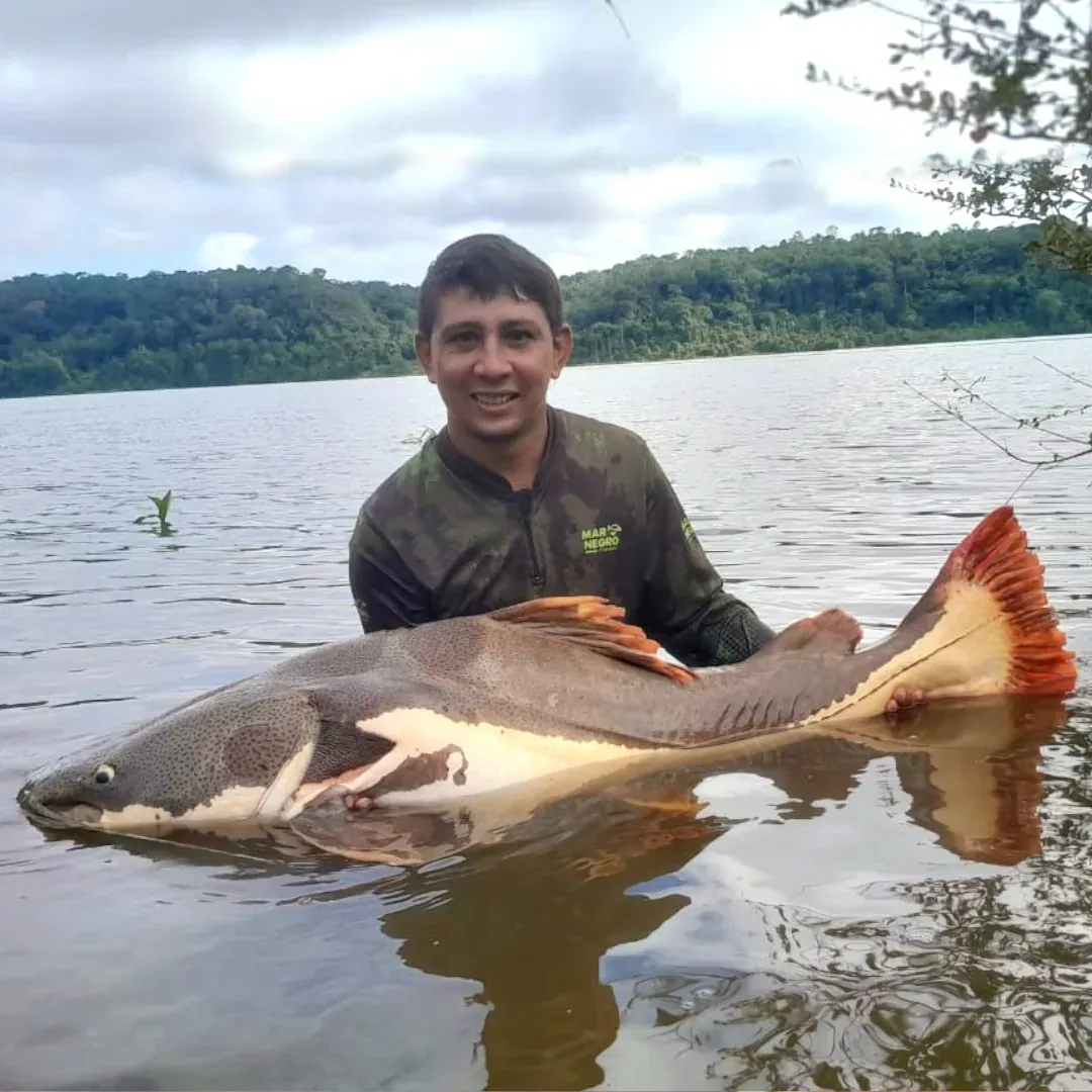 pescaria da pirarara no rio bararatí, amazonas, pesca esportiva na amazônia, pacote de pescaria