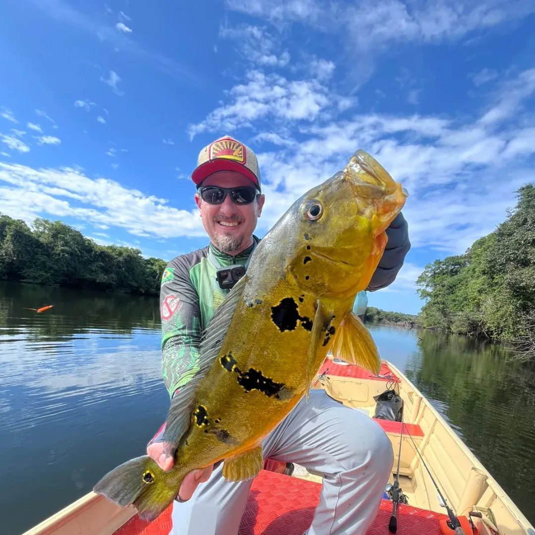 tucunaré da amazônia,voo comercial no amazonas, aeronave saindo de alta floresta e manaus